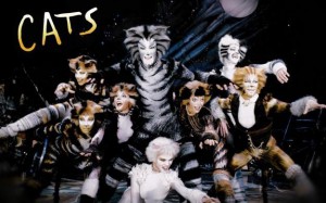 Cats- 20.03